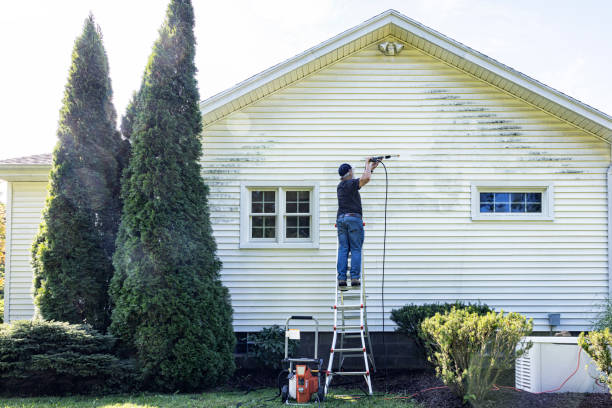 Best Roof Pressure Washing  in Murrells Inlet, SC